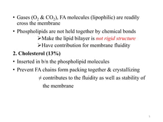 • Gases (O2 & CO2), FA molecules (lipophilic) are readily
cross the membrane
• Phospholipids are not held together by chemical bonds
Make the lipid bilayer is not rigid structure
Have contribution for membrane fluidity
2. Cholesterol (13%)
• Inserted in b/n the phospholipid molecules
• Prevent FA chains form packing together & crystallizing
≠ contributes to the fluidity as well as stability of
the membrane
5
 
