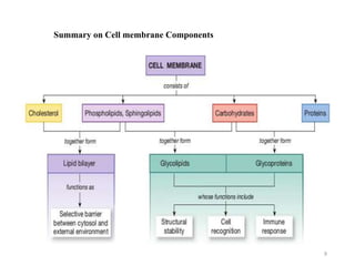 Summary on Cell membrane Components
9
 