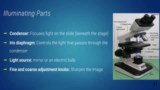 Illuminating Parts
 Condenser: Focuses light on the slide (beneath the stage)
 Iris diaphragm: Controls the light that passes through the
condenser
 Light source: mirror or an electric bulb
 Fine and coarse adjustment knobs: Sharpen the image.
11
 