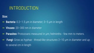 INTRODUCTION
Size:
 Bacteria- 0.2–1.5 μm in diameter; 3–5 μm in length
 Viruses- 20–300 nm in diameter
 Parasites- Protozoans measured in µm; helminths - few mm to meters.
 Fungi- Grow as hyphae - thread-like structures 2–10 µm in diameter and up
to several cm in length
2
 
