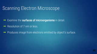 Scanning Electron Microscope
 Examine the surfaces of microorganisms in detail.
 Resolution of 7 nm or less.
 Produces image from electrons emitted by object’s surface.
40
 