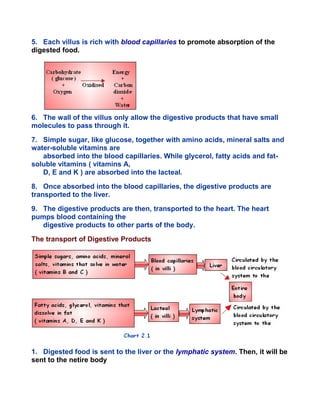 5. Each villus is rich with blood capillaries to promote absorption of the
digested food.
6. The wall of the villus only allow the digestive products that have small
molecules to pass through it.
7. Simple sugar, like glucose, together with amino acids, mineral salts and
water-soluble vitamins are
absorbed into the blood capillaries. While glycerol, fatty acids and fat-
soluble vitamins ( vitamins A,
D, E and K ) are absorbed into the lacteal.
8. Once absorbed into the blood capillaries, the digestive products are
transported to the liver.
9. The digestive products are then, transported to the heart. The heart
pumps blood containing the
digestive products to other parts of the body.
The transport of Digestive Products
1. Digested food is sent to the liver or the lymphatic system. Then, it will be
sent to the netire body
 