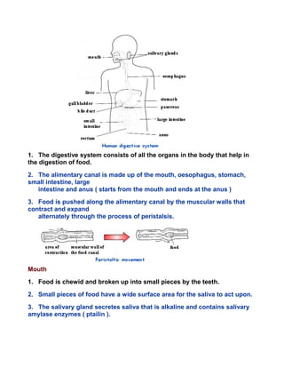 1. The digestive system consists of all the organs in the body that help in
the digestion of food.
2. The alimentary canal is made up of the mouth, oesophagus, stomach,
small intestine, large
intestine and anus ( starts from the mouth and ends at the anus )
3. Food is pushed along the alimentary canal by the muscular walls that
contract and expand
alternately through the process of peristalsis.
Mouth
1. Food is chewid and broken up into small pieces by the teeth.
2. Small pieces of food have a wide surface area for the saliva to act upon.
3. The salivary gland secretes saliva that is alkaline and contains salivary
amylase enzymes ( ptailin ).
 