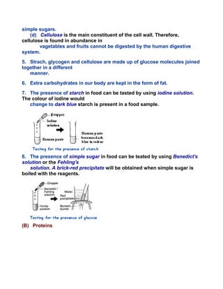 simple sugars.
(d) Cellulose is the main constituent of the cell wall. Therefore,
cellulose is found in abundance in
vagetables and fruits cannot be digested by the human digestive
system.
5. Strach, glycogen and cellulose are made up of glucose molecules joined
together in a different
manner.
6. Extra carbohydrates in our body are kept in the form of fat.
7. The presence of starch in food can be tasted by using iodine solution.
The colour of iodine would
change to dark blue starch is present in a food sample.
8. The presence of simple sugar in food can be teated by using Benedict's
solution or the Fehling's
solution. A brick-red precipitate will be obtained when simple sugar is
boiled with the reagents.
(B) Proteins
 
