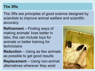 Chapter 2- research involving animals .pptx