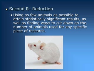 Chapter 2- research involving animals .pptx