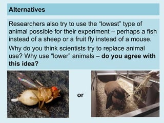 Alternatives
Researchers also try to use the “lowest” type of
animal possible for their experiment – perhaps a fish
instea...