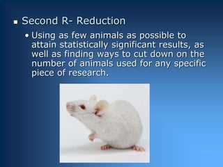  Second R- Reduction
• Using as few animals as possible to
attain statistically significant results, as
well as finding w...