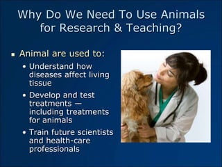 Why Do We Need To Use Animals
for Research & Teaching?
 Animal are used to:
• Understand how
diseases affect living
tissu...