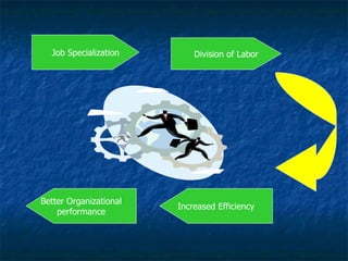 Job Specialization Division of Labor Increased Efficiency Better Organizational performance 