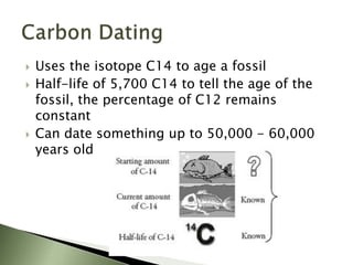  Uses the isotope C14 to age a fossil
 Half-life of 5,700 C14 to tell the age of the
fossil, the percentage of C12 remains
constant
 Can date something up to 50,000 - 60,000
years old
 