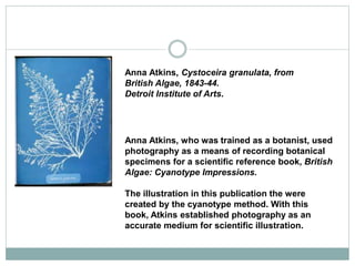 Anna Atkins, Cystoceira granulata, from
British Algae, 1843-44.
Detroit Institute of Arts.
Anna Atkins, who was trained as a botanist, used
photography as a means of recording botanical
specimens for a scientific reference book, British
Algae: Cyanotype Impressions.
The illustration in this publication the were
created by the cyanotype method. With this
book, Atkins established photography as an
accurate medium for scientific illustration.
 