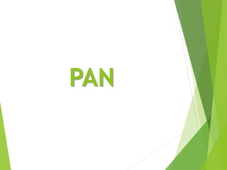 PAN
 