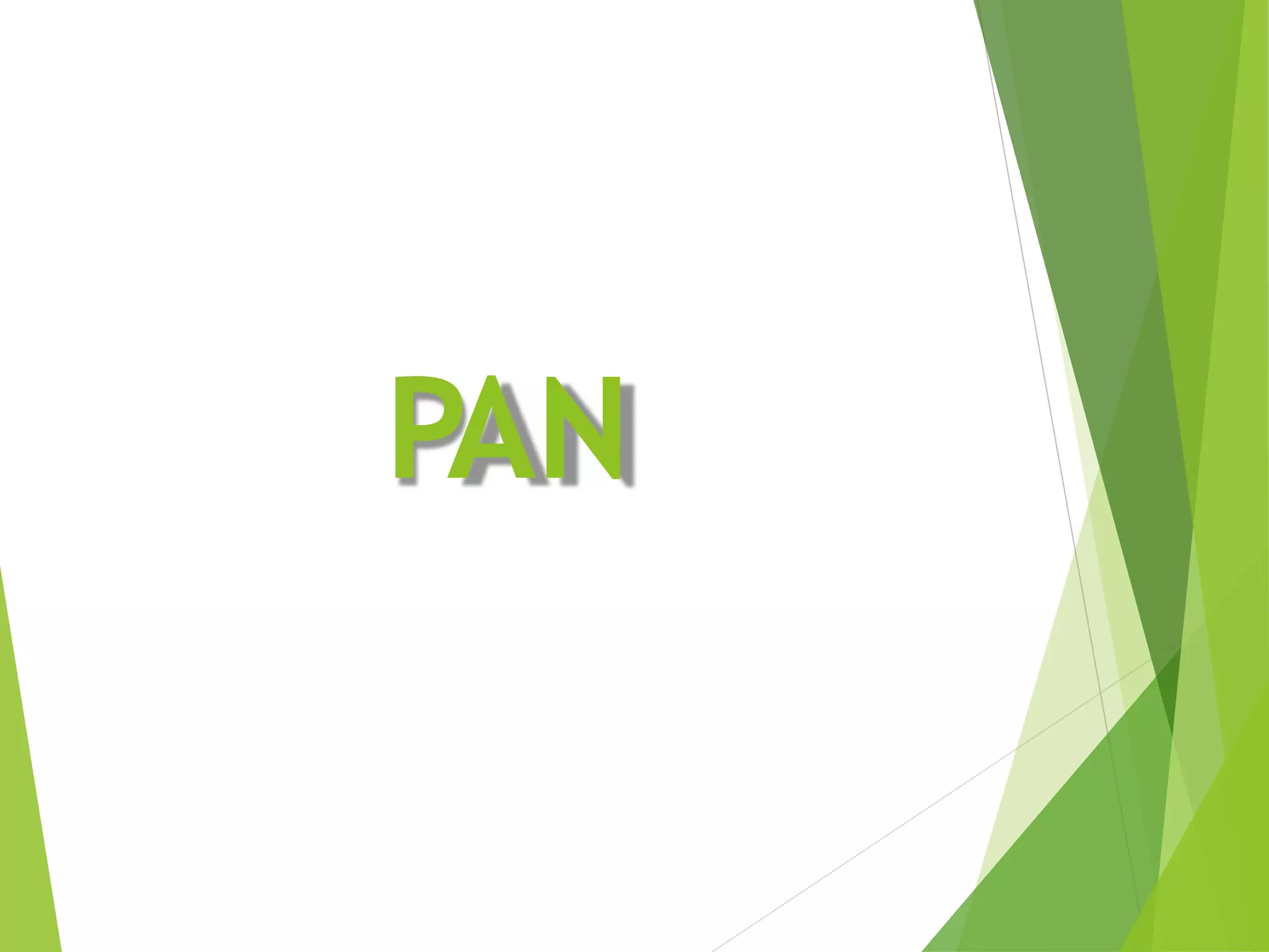 PAN
 