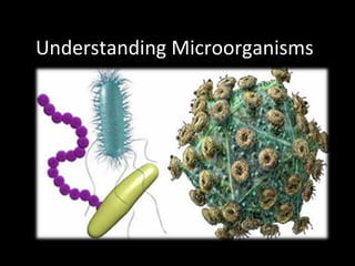 Understanding Microorganisms
 
