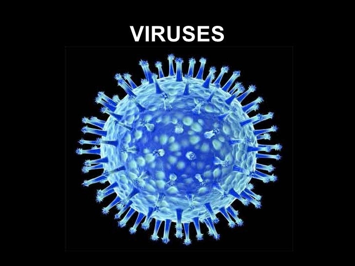Chapter 2 Understanding