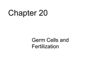 Chapter 20


     • Germ Cells and
       Fertilization
 