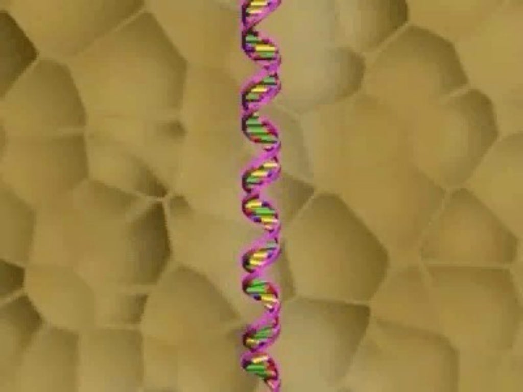 CARBOHYDRATES AND LIPIDS