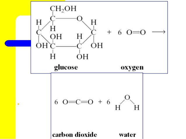 CARBOHYDRATES AND LIPIDS