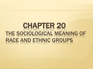 CHAPTER 20
THE SOCIOLOGICAL MEANING OF
RACE AND ETHNIC GROUPS
 