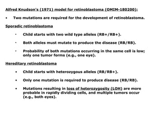 Alfred Knudson’s (1971) model for retinoblastoma (OMIM-180200):
• Two mutations are required for the development of retinoblastoma.
Sporadic retinoblastoma
• Child starts with two wild type alleles (RB+/RB+).
• Both alleles must mutate to produce the disease (RB/RB).
• Probability of both mutations occurring in the same cell is low;
only one tumor forms (e.g., one eye).
Hereditary retinoblastoma
• Child starts with heterozygous alleles (RB/RB+).
• Only one mutation is required to produce disease (RB/RB).
• Mutations resulting in loss of heterozygosity (LOH) are more
probable in rapidly dividing cells, and multiple tumors occur
(e.g., both eyes).
 