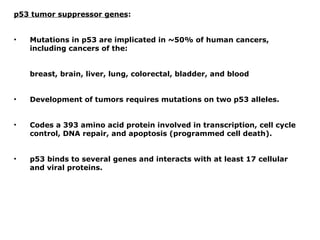 p53 tumor suppressor genes:
• Mutations in p53 are implicated in ~50% of human cancers,
including cancers of the:
breast, brain, liver, lung, colorectal, bladder, and blood
• Development of tumors requires mutations on two p53 alleles.
• Codes a 393 amino acid protein involved in transcription, cell cycle
control, DNA repair, and apoptosis (programmed cell death).
• p53 binds to several genes and interacts with at least 17 cellular
and viral proteins.
 