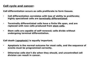 Cell cycle and cancer:
Cell differentiation occurs as cells proliferate to form tissues.
• Cell differentiation correlates with loss of ability to proliferate;
highly specialized cells are terminally differentiated.
• Terminally differentiated cells have a finite life span, and are
replaced with new cells produced from stem cells.
• Stem cells are capable of self-renewal; cells divide without
undergoing terminal differentiation.
Cell death (apoptosis) is equally important.
• Apoptosis is the normal outcome for most cells, and the sequence of
events must be programmed correctly.
• Otherwise cells don’t die when they should, and uncontrolled cell
division can result in cancer.
 