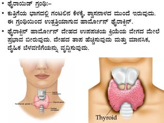 • xÉÊgÁ¬Äqï UÀæAy:-
• PÀÄwÛUÉAiÀÄ ¨sÁUÀzÀ°è UÀAl°£À PÉ¼ÀPÉÌ, ±Áé¸À£Á¼ÀzÀ ªÀÄÄAzÉ EgÀÄªÀÅzÀÄ.
F UÀæAy¬ÄAzÀ GvÀàwÛAiÀiÁUÀÄªÀ ºÁªÉÆÃð£ï xÉÊgÁQì£ï.
• xÉÊgÁQì£ï ºÁªÉÆÃð£ï zÉÃºÀzÀ G¥À¥ÀZÀAiÀÄ QæAiÉÄAiÀÄ ªÉÃUÀzÀ ªÉÄÃ¯É
¥Àæ¨sÁªÀ ©ÃgÀÄªÀÅzÀÄ. zÉÃºÀzÀ vÁ¥À ºÉaÑ¸ÀÄªÀÅzÀÄ ªÀÄvÀÄÛ ªÀiÁ£À¹PÀ,
zÉÊ»PÀ ¨É¼ÀªÀtÂUÉAiÀÄ£ÀÄß ªÀÈ¢Ý¸ÀÄªÀÅzÀÄ.
 