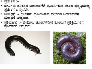 • ¥ÀæZÉÃvÀ£À :-
• fÃ«UÀ¼ÀÄ ¥Àj¸ÀgÀzÀ §zÀ¯ÁªÀuÉUÉ ¥ÀæwªÀwð¸ÀÄªÀ ªÀÄÆ® ¥ÀæªÀÈwÛAiÀÄ£ÀÄß
¥ÀæZÉÃvÀ£À J£ÀÄßªÀgÀÄ.
• ZÉÆÃzsÀ£É :- fÃ«UÀ¼ÀÄ ¥ÀæwQæ¬Ä¸ÀÄªÀ ¥Àj¸ÀgÀzÀ §zÀ¯ÁªÀuÉUÉ
ZÉÆÃzsÀ£É J£ÀÄßªÀgÀÄ.
• ¥ÀæwªÀvÀð£É :- fÃ«UÀ¼ÀÄ ZÉÆÃzsÀ£ÉUÀ½UÉ vÉÆÃgÀÄªÀ ¥ÀæwQæAiÉÄUÀ½UÉ
¥ÀæwªÀvÀð£É J£ÀÄßªÀgÀÄ.
 