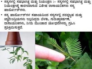 • ¸À¸ÀåUÀ¼À°è ¸ÀºÀ¨sÁVvÀé ªÀÄvÀÄÛ ¤AiÀÄAvÀæt :- ¸À¸ÀåUÀ¼À°è ¸ÀºÀ¨sÁVvÀé ªÀÄvÀÄÛ
¤AiÀÄAvÀætPÉÌ PÁgÀtªÁUÀÄªÀ «±ÉÃµÀ gÁ¸ÁAiÀÄ¤PÀUÀ¼ÀÄ ¸À¸Àå
ºÁªÉÆÃð£ïUÀ¼ÀÄ.
• ¸À¸Àå ºÁªÉÆÃð£ïUÀ¼À ¸ÀºÁAiÀÄ¢AzÀ ¸À¸ÀåUÀ¼À°è £ÀgÀªÀÇåºÀ ªÀÄvÀÄÛ
eÁÕ£ÉÃA¢æAiÀÄUÀ¼ÀÄ E®è¢zÀÝgÀÄ ¨É¼ÀPÀÄ, UÀÄgÀÄvÁéPÀµÀðuÉ,
gÁ¸ÁAiÀÄ¤PÀUÀ¼ÀÄ, ¤ÃgÀÄ ªÀÄÄAvÁzÀ ZÉÆÃzsÀ£ÉUÀ¼À£ÀÄß UÀæ»¹
¥ÀæwQæ¬Ä¸ÀÄvÀÛzÉ.
 