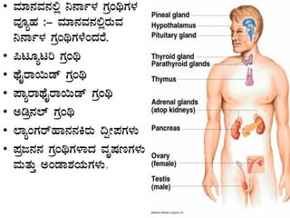 • ªÀiÁ£ÀªÀ£À°è ¤£Áð¼À UÀæAyUÀ¼À
ªÀÇåºÀ :- ªÀiÁ£ÀªÀ£À°ègÀÄªÀ
¤£Áð¼À UÀæAyUÀ¼ÉAzÀgÉ.
• ¦lÆålj UÀæAy
• xÉÊgÁ¬Äqï UÀæAy
• ¥ÁågÁxÉÊgÁ¬Äqï UÀæAy
• Cræ£À¯ï UÀæAy
• ¯ÁåAUÀgïºÁ£À£ÀQgÀÄ ¢àÃ¥ÀUÀ¼ÀÄ
• ¥Àæd£À£À UÀæAyUÀ¼ÁzÀ ªÀÈµÀtUÀ¼ÀÄ
ªÀÄvÀÄÛ CAqÁ±ÀAiÀÄUÀ¼ÀÄ.
 