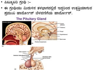 • ¦lÆålj UÀæAy :-
• F UÀæAyAiÀÄÄ «ÄzÀÄ½£À vÀ¼À¨sÁUÀzÀ°èzÉ EzÀÝjAzÀ GvÀàwÛAiÀiÁUÀÄªÀ
¥ÀæªÀÄÄR ºÁªÉÆÃð£ï ¨É¼ÀªÀtÂUÉAiÀÄ ºÁªÉÆÃð£ï.
 