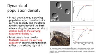 Dynamic of
population density
• In real populations, a growing
population often overshoots its
carrying capacity and the death
rate increases beyond the birth
rate causing the population size to
decline back to the carrying
capacity or below it.
• Most populations usually
fluctuate around the carrying
capacity in an undulating fashion
rather than existing right at it.
(a) Yeast grown in ideal conditions in a test tube shows a classical S-shaped logistic growth
curve, whereas (b) a natural population of seals shows real-world fluctuation. The yeast is
visualized using differential interference contrast light micrography. (credit a: scale-bar data
from Matt Russell)
 