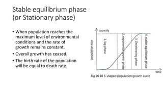 Stable equilibrium phase
(or Stationary phase)
• When population reaches the
maximum level of environmental
conditions and the rate of
growth remains constant.
• Overall growth has ceased.
• The birth rate of the population
will be equal to death rate.
 