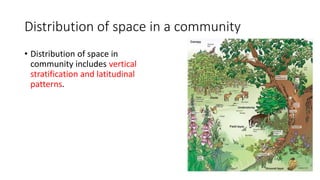 Distribution of space in a community
• Distribution of space in
community includes vertical
stratification and latitudinal
patterns.
 