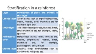 Stratification in a rainforest
Layer Distribution of plants and animals in
that layer
Canopy layer Taller plants such as Dipterocarpaceae,
insect, reptiles, birds, mammals etc for
example, ape, owl.
Shrub layer The shade lasting shrubs, reptiles, birds,
small mammals etc. for example, lizard,
sparrow
Herbaceous
layer
Herbaceous plants, ferns, mosses etc.
insects, amphibians, reptiles, birds,
mammals etc. for example,
grasshoppers, deer, mouse
Ground layer Bacteria, fungi, invertebrates such as
earthworm, millipede etc.
 