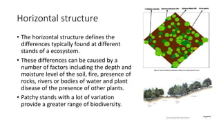 Horizontal structure
• The horizontal structure defines the
differences typically found at different
stands of a ecosystem.
• These differences can be caused by a
number of factors including the depth and
moisture level of the soil, fire, presence of
rocks, rivers or bodies of water and plant
disease of the presence of other plants.
• Patchy stands with a lot of variation
provide a greater range of biodiversity.
 