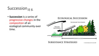 Succession消长
• Succession is a series of
progressive changes in the
composition of an
ecological community over
time.
 