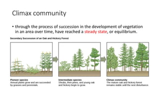 Climax community
• through the process of succession in the development of vegetation
in an area over time, have reached a steady state, or equilibrium.
 