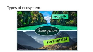 Types of ecosystem
 