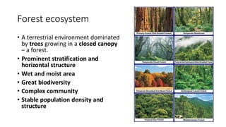 Forest ecosystem
• A terrestrial environment dominated
by trees growing in a closed canopy
– a forest.
• Prominent stratification and
horizontal structure
• Wet and moist area
• Great biodiversity
• Complex community
• Stable population density and
structure
 
