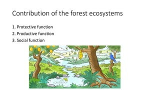 Contribution of the forest ecosystems
1. Protective function
2. Productive function
3. Social function
 