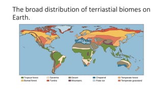 The broad distribution of terriastial biomes on
Earth.
 