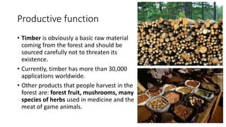 Productive function
• Timber is obviously a basic raw material
coming from the forest and should be
sourced carefully not to threaten its
existence.
• Currently, timber has more than 30,000
applications worldwide.
• Other products that people harvest in the
forest are: forest fruit, mushrooms, many
species of herbs used in medicine and the
meat of game animals.
 
