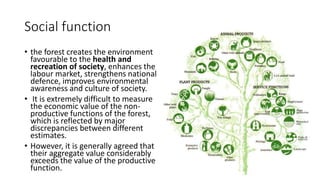 Social function
• the forest creates the environment
favourable to the health and
recreation of society, enhances the
labour market, strengthens national
defence, improves environmental
awareness and culture of society.
• It is extremely difficult to measure
the economic value of the non-
productive functions of the forest,
which is reflected by major
discrepancies between different
estimates.
• However, it is generally agreed that
their aggregate value considerably
exceeds the value of the productive
function.
 