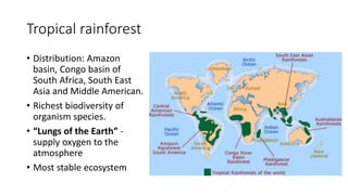 Tropical rainforest
• Distribution: Amazon
basin, Congo basin of
South Africa, South East
Asia and Middle American.
• Richest biodiversity of
organism species.
• “Lungs of the Earth” -
supply oxygen to the
atmosphere
• Most stable ecosystem
 