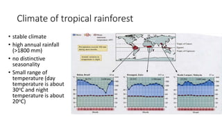 Climate of tropical rainforest
• stable climate
• high annual rainfall
(>1800 mm)
• no distinctive
seasonality
• Small range of
temperature (day
temperature is about
30oC and night
temperature is about
20oC)
 