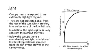 Light
• Canopy trees are exposed to an
extremely high light regime.
• They are not protected at all from
the rays of the sun, which are very
intense because of the low latitude.
• In addition, the light regime is fairly
constant throughout the year.
• Below the canopy there is
considerably less light, as mid- and
low-level vegetation is screened
from the sun by the crowns of the
canopy trees.
 