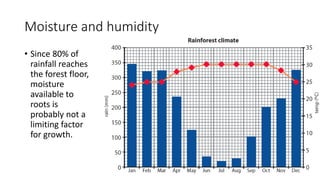 Moisture and humidity
• Since 80% of
rainfall reaches
the forest floor,
moisture
available to
roots is
probably not a
limiting factor
for growth.
 
