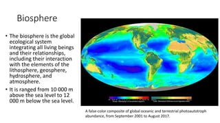 Biosphere
• The biosphere is the global
ecological system
integrating all living beings
and their relationships,
including their interaction
with the elements of the
lithosphere, geosphere,
hydrosphere, and
atmosphere.
• It is ranged from 10 000 m
above the sea level to 12
000 m below the sea level.
A false-color composite of global oceanic and terrestrial photoautotroph
abundance, from September 2001 to August 2017.
 